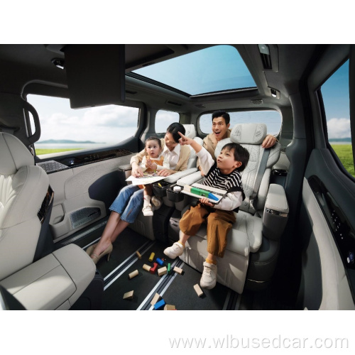 Geely ZEEKR 009 New Energy Vehicle 2.0TD